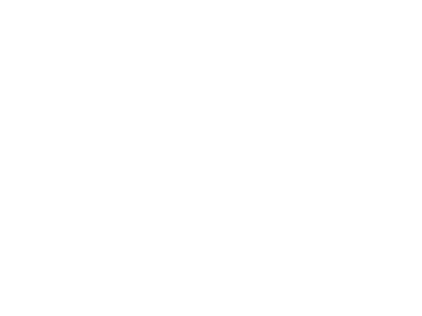 flexr finance logo white png